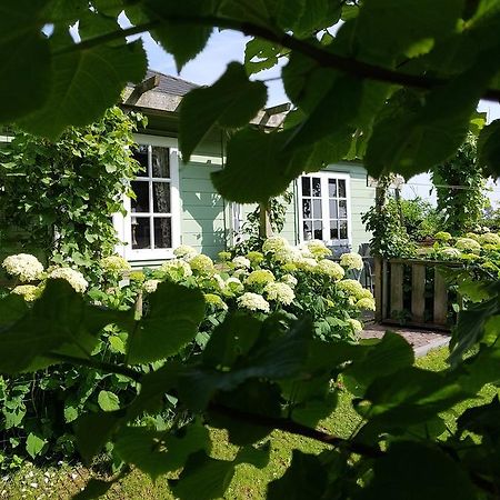 Romantisch Huisje Julianadorp Exterior foto